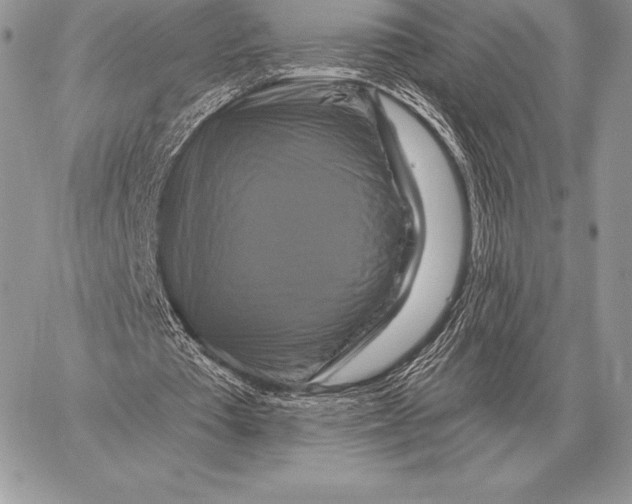 X0000059840385200511111750