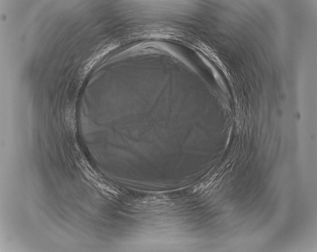 X0000059840386200511111750