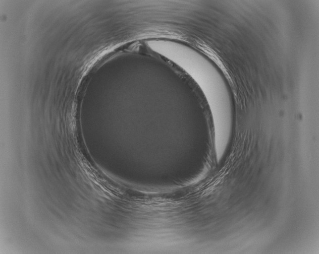 X0000059840387200511111750