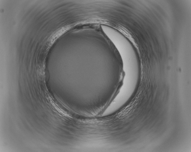 X0000059840389200511111750