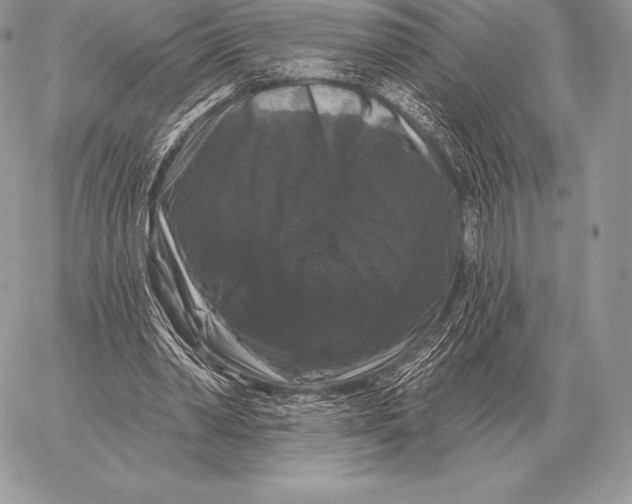 X0000059840390200511111750