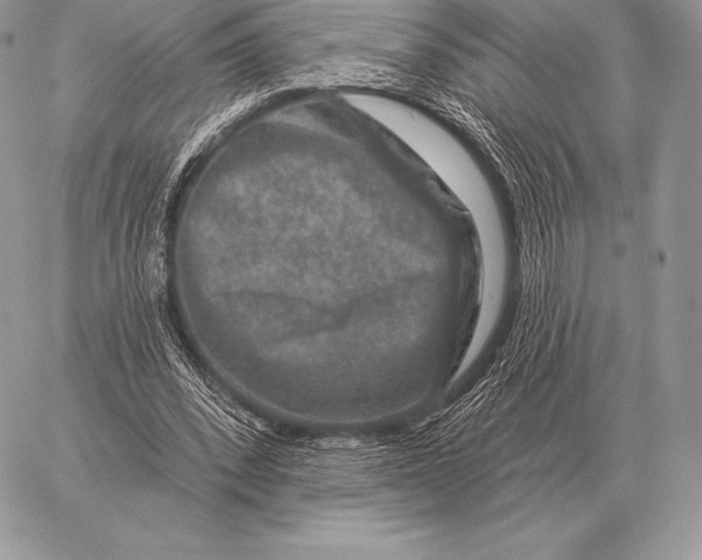 X0000059840392200511111750