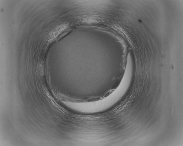 X0000059840393200511111750