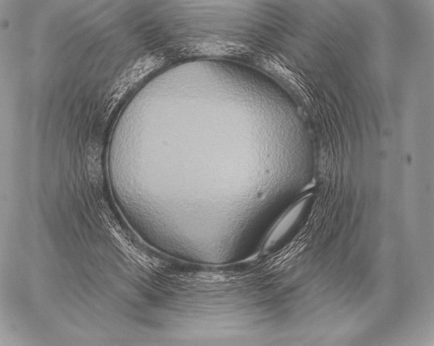 X0000059840394200511111750