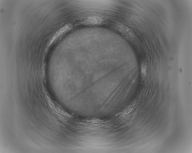 X0000059840396200511111750