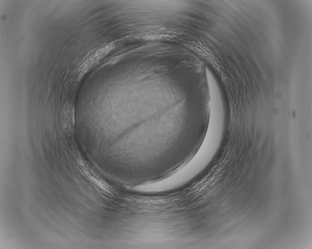 X0000059840397200511111750