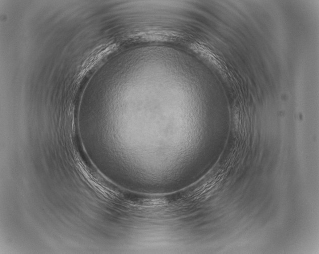 X0000059840398200511111750