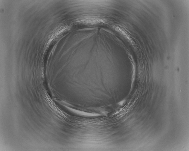 X0000059840399200511111750