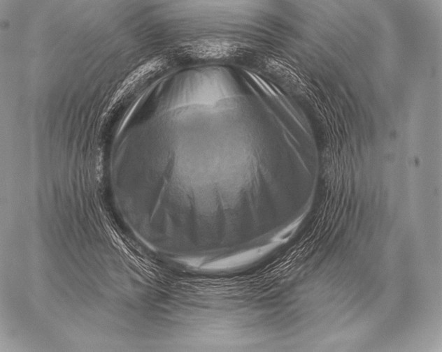 X0000059840400200511111750