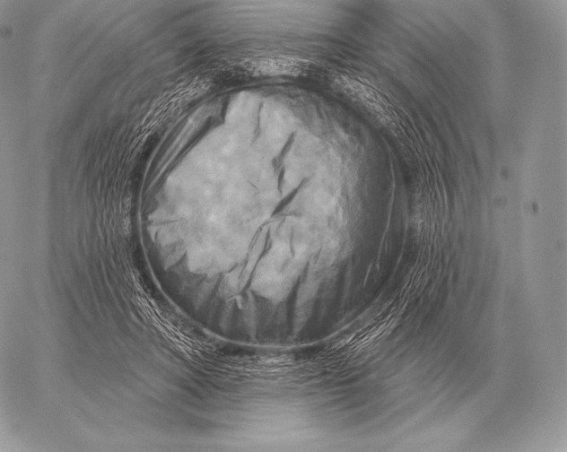 X0000059840402200511111750