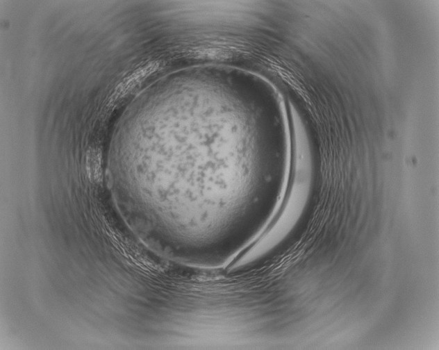 X0000059840403200511111750