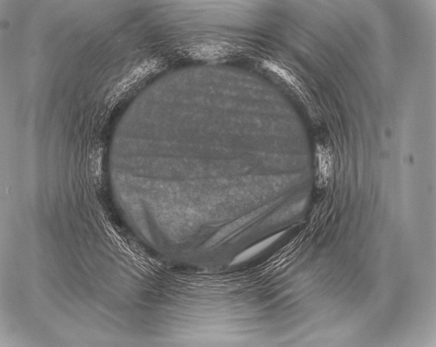 X0000059840404200511111750