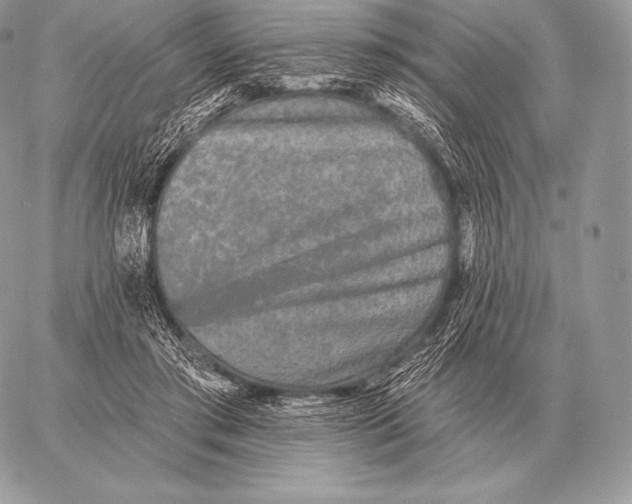 X0000059840405200511111750