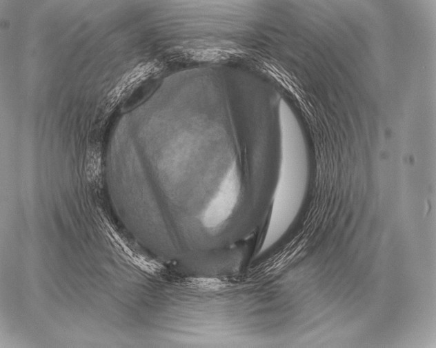 X0000059840407200511111750