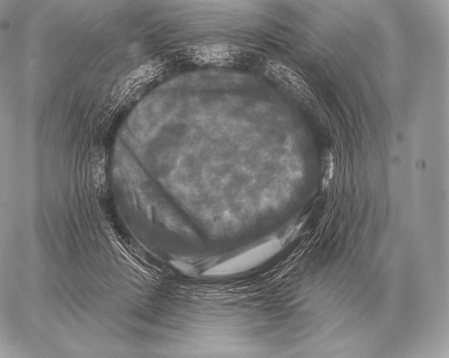 X0000059840408200511111750