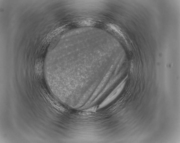 X0000059840409200511111750