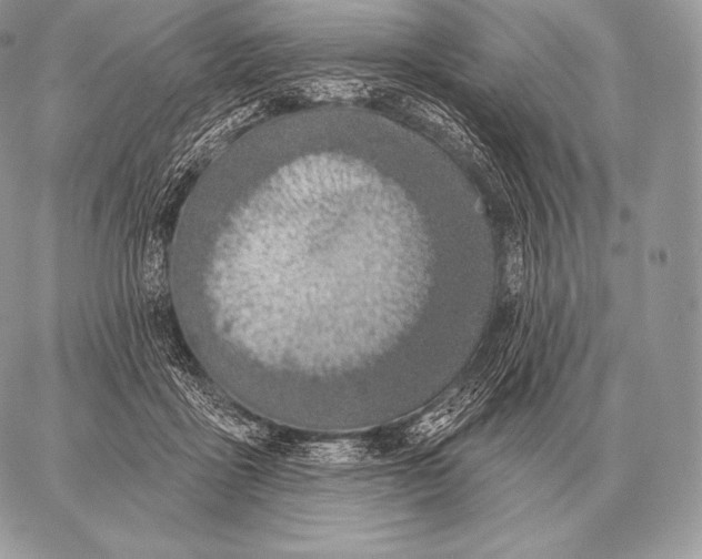 X0000059840411200511111750