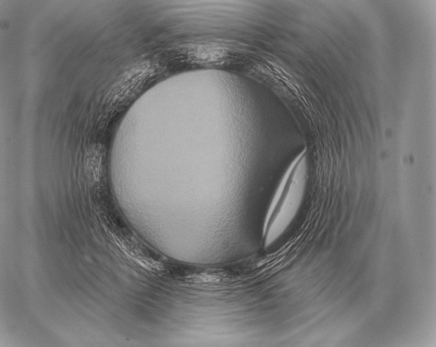 X0000059840412200511111750