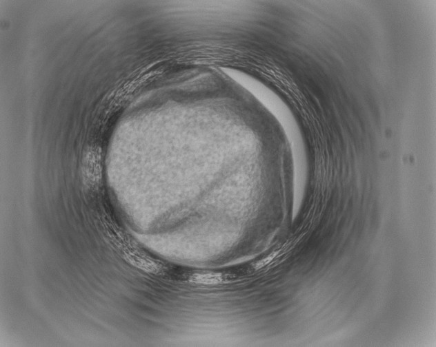 X0000059840413200511111750