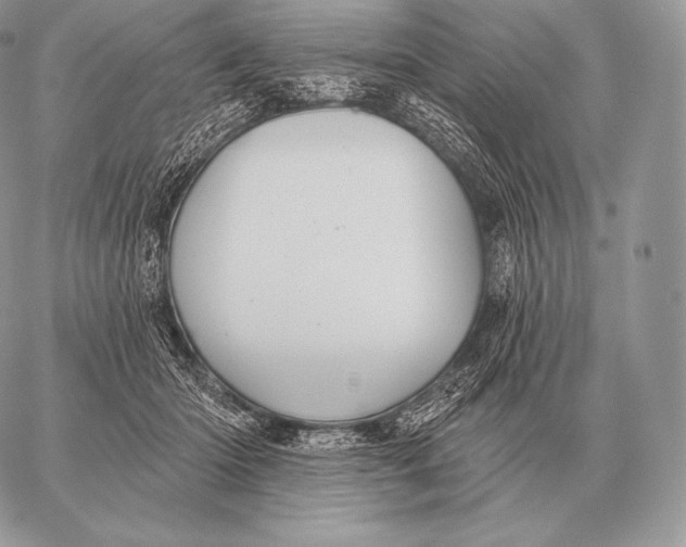 X0000059840414200511111750