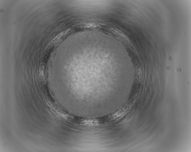 X0000059840415200511111750