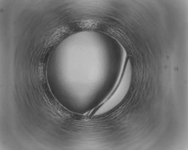 X0000059840416200511111750