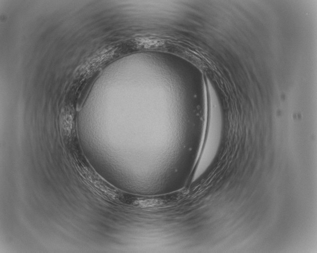 X0000059840417200511111750