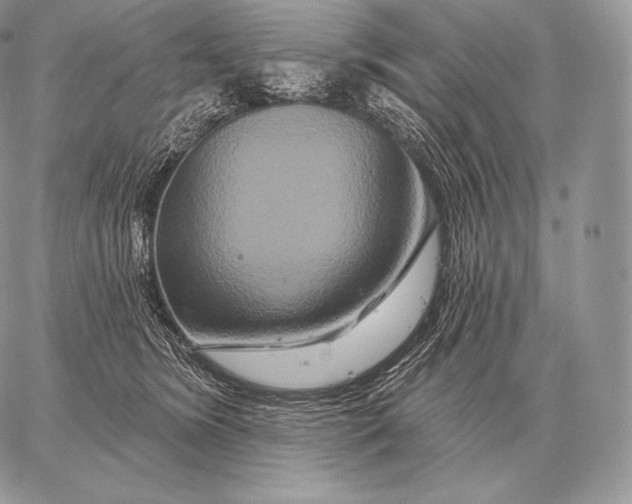 X0000059840420200511111750