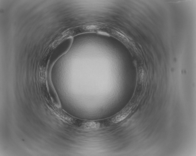 X0000059840421200511111750