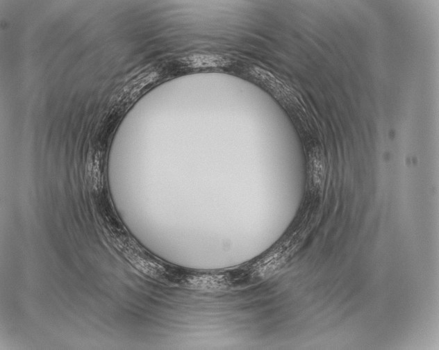 X0000059840422200511111749