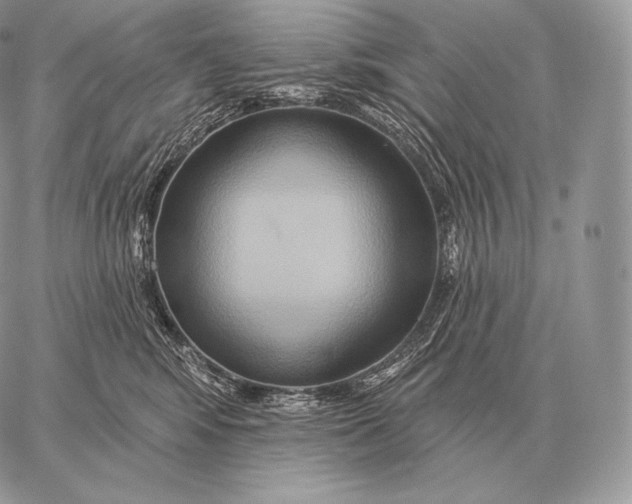 X0000059840424200511111749