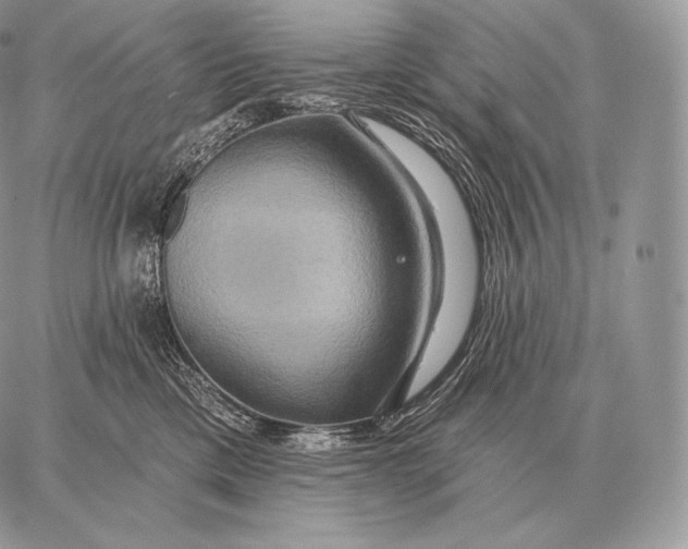 X0000059840425200511111749