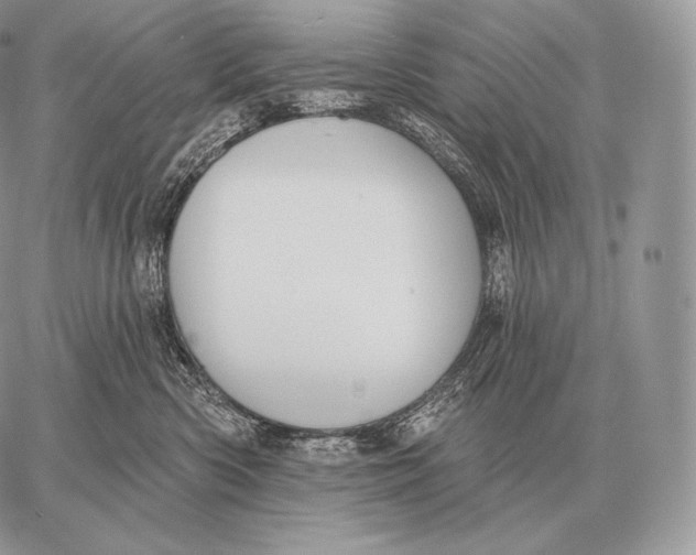 X0000059840426200511111749