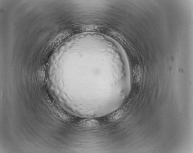 X0000059840427200511111749