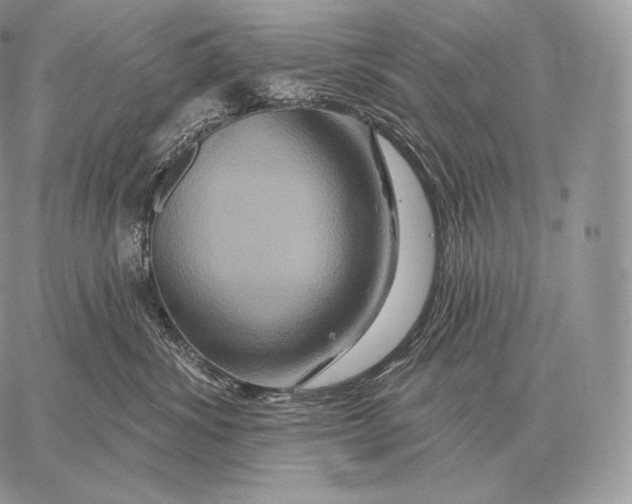 X0000059840428200511111749