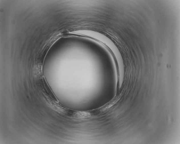 X0000059840429200511111749