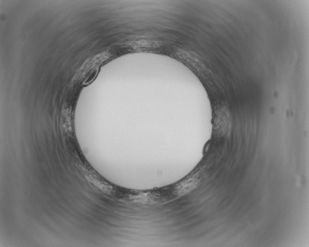 X0000059840430200511111749