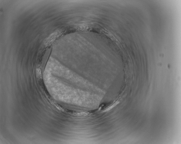 X0000059840432200511111749