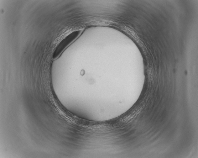 X0000059840433200511111749