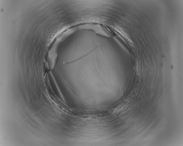 X0000059840434200511111749