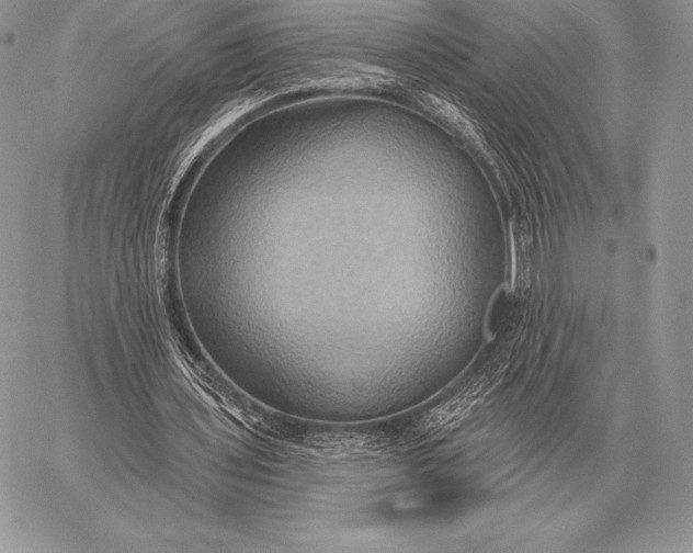 X0000059840435200511111749