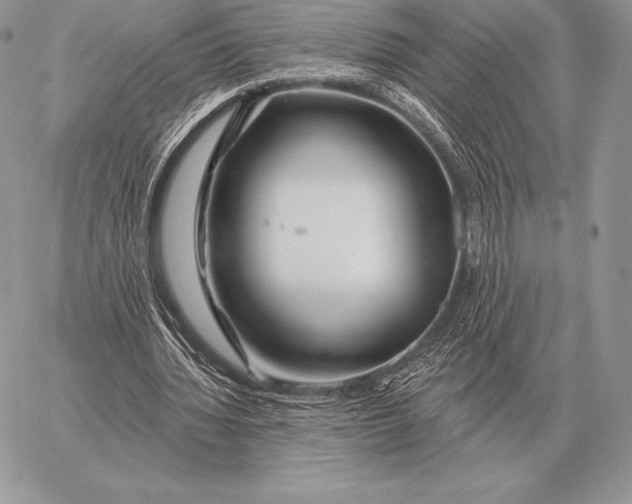 X0000059840436200511111749