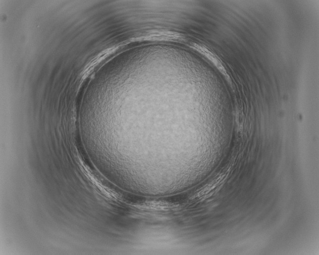 X0000059840437200511111749