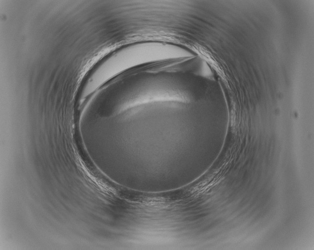 X0000059840438200511111749