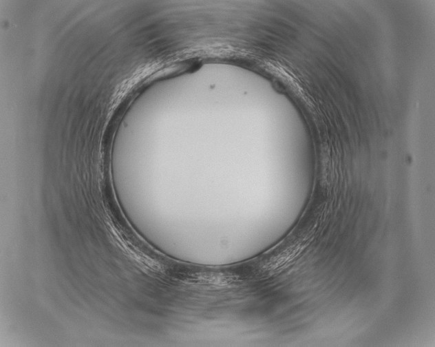 X0000059840439200511111749