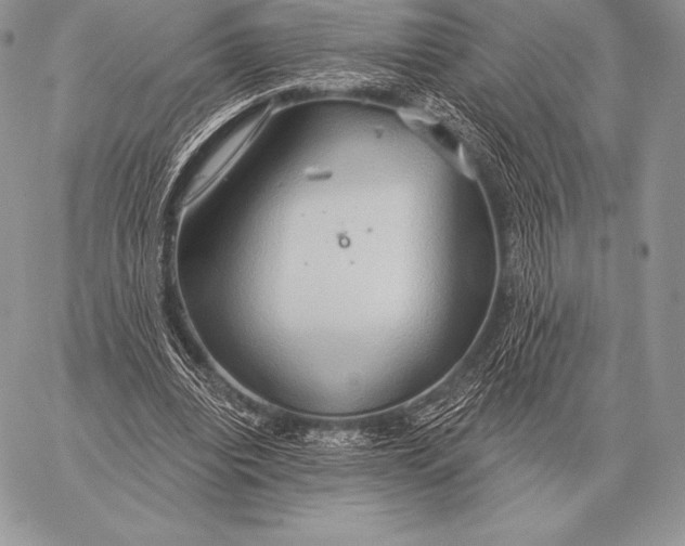 X0000059840440200511111749