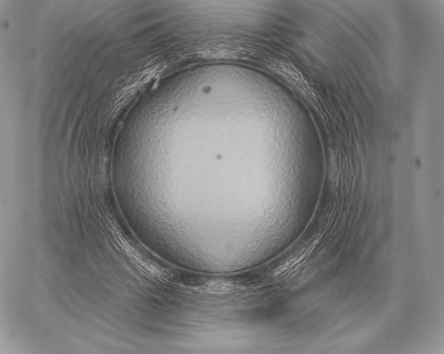 X0000059840441200511111749