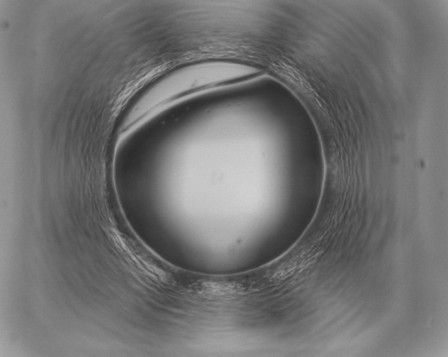 X0000059840442200511111749