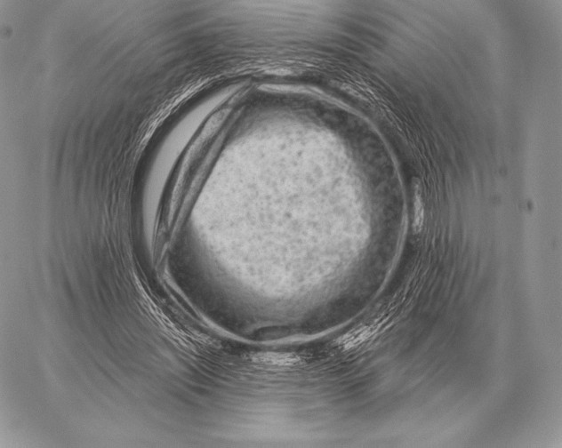 X0000059840444200511111749