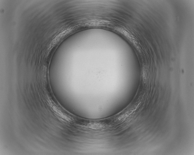 X0000059840445200511111749